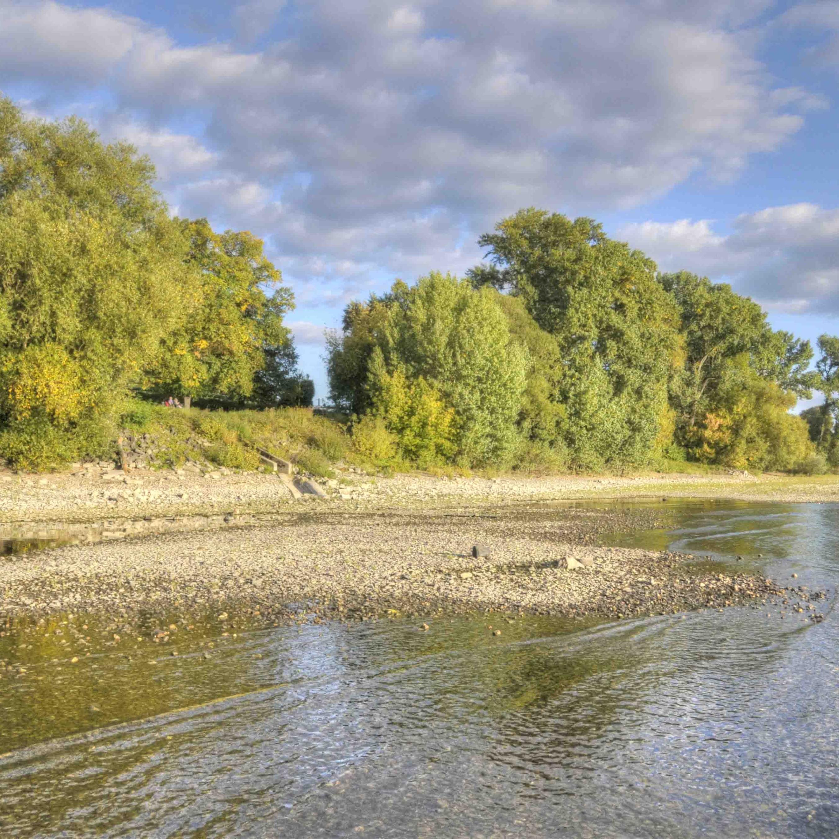 Pfarreiengemeinschaft Bad Hönningen-Rheinbrohl