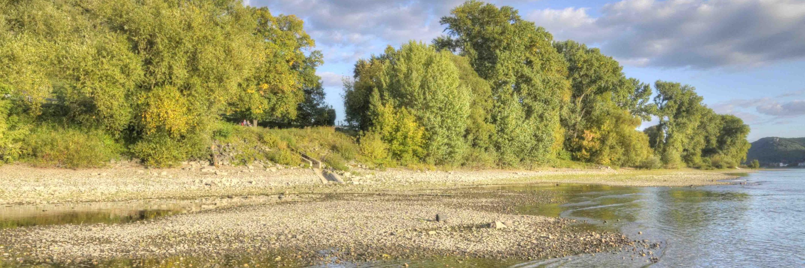 Pfarreiengemeinschaft Bad Hönningen-Rheinbrohl