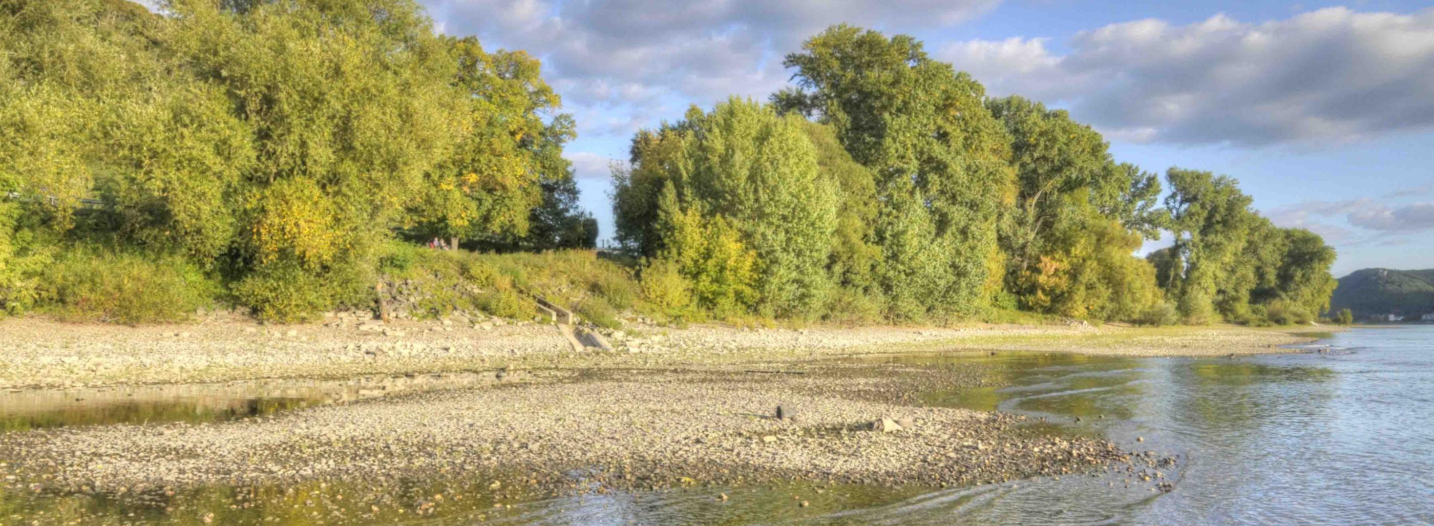 Pfarreiengemeinschaft Bad Hönningen-Rheinbrohl